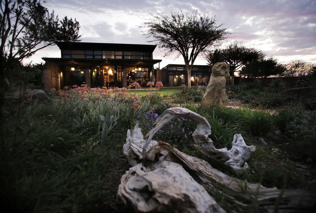 Liedjiesbos Urban Olive Farm Bed & Breakfast Bloemfontein Exterior photo